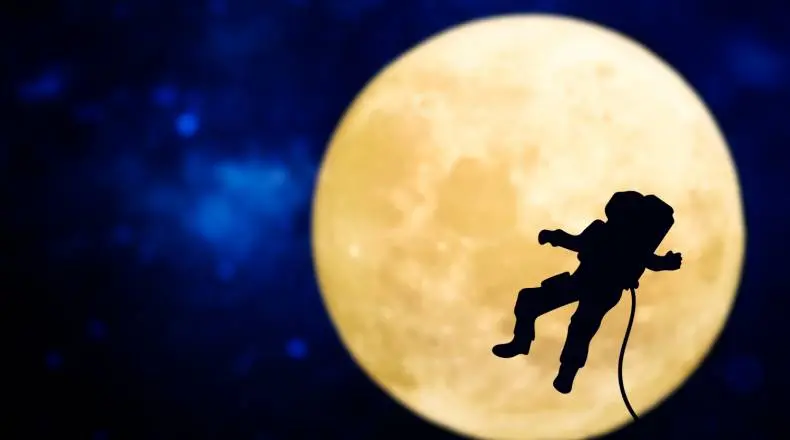 What Is SFM? Does The Altcoin SafeMoon (SFM) Have A Bright Future? | FXMAG.COM