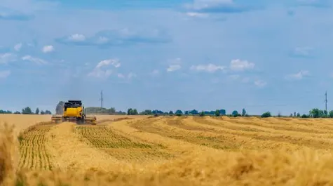 Wheat conditions supports elevated prices | Saxo Bank| FXMAG.COM
