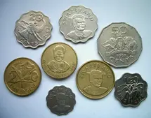 El lilangeni suazi (SZL): perspectivas de la moneda en el mercado Forex. Economía, política y tipo de cambio