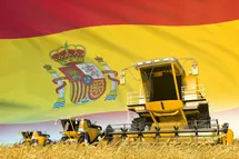 Descubre cuánto cuesta la tonelada de trigo en España, cuánto cuesta el gas natural en España y si más caro el oro o el platino