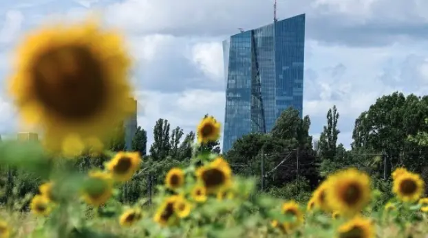 ECB Pauses After Seven Rate Cuts, Weighs Euro Impact and Trade Talks