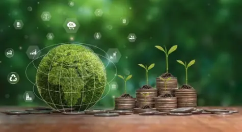 Global Sustainable Debt Issuance in 2025: Regional Divergences and Emerging Trends