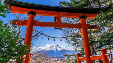 Bank of Japan choose not to rise the rates, institution highlighted it will need some to time to conduct a review of monetary policy guidance| FXMAG.COM