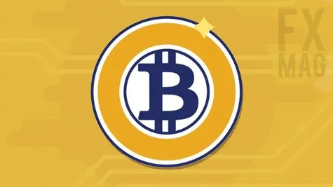 Bitcoin Gold (BTG): ¿qué necesitas saber sobre Bitcoin Gold? Descripción de la criptomoneda, historia, cotización, opiniones | FXMAG