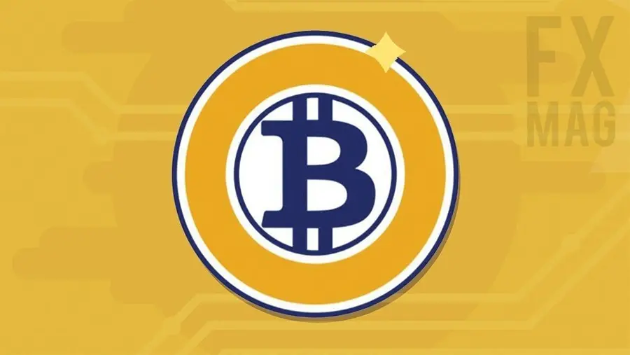 Bitcoin Gold (BTG): ¿qué necesitas saber sobre Bitcoin Gold? Descripción de la criptomoneda, historia, cotización, opiniones | FXMAG