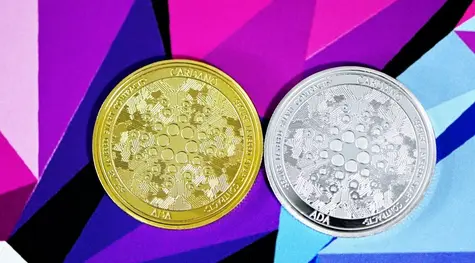 ¡Cardano recibe un impulso alcista frente al dólar (ADAUSD)! Las cotizaciones de Solana y Algorand también se dirigen al alza (SOLUSD, ALGOUSD) | FXMAG
