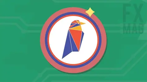 Criptomoneda Ravencoin (RVN): ¿qué necesitas saber? Descripción de la criptomoneda, historia, cotizaciones | FXMAG