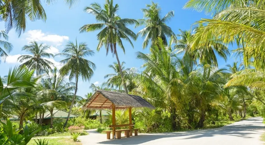 De paraísos fiscales a economía azul... El renacimiento de los pequeños países insulares en la escena mundial | FXMAG