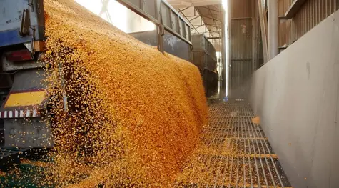 Desafiando la inflación: Materias primas y bienes raíces como escudos en tiempos turbulentos, ¿nos espera una burbuja inmobiliaria? | FXMAG