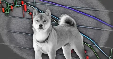 ¡Deshazte de tus Shiba! SHIB ¡A Dogecoin se le viene encima una racha de constantes pérdidas de valor! DOGE ¡No es el momento de vender Solana! Esperamos sacarle la máxima rentabilidad | FXMAG