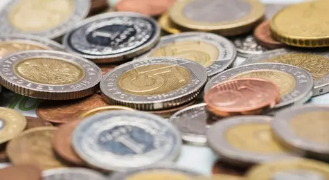 Dividendos en WSE y NewConnect: ¿qué trajo la semana pasada? La estrella tecnológica de la Bolsa de Valores de Varsovia pagará 5,95 PLN por acción | FXMAG