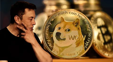 ¡Dogecoin (DOGE) respaldada por Elon Musk toma fuerza! ¡Menudo contraste se lleva Internet Computer (ICP)! Polkadot (DOT) con el conflicto del 8.52% de subidas frente al 31.37% de bajadas | FXMAG