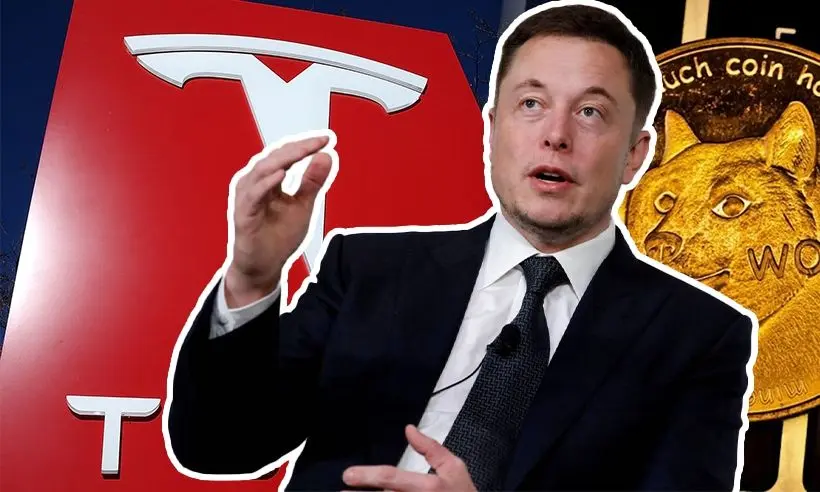 Dogecoin sin apoyo de Elon Musk... DOGE ¡Los inversores se sienten ESTAFADOS! ¿Qué ha pasado con el dinero invertido en Shiba Inu? SHIB ¡Cardano en peligro! ADA | FXMAG