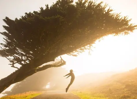 El cambio Dólar Estadounidense Peso Mexicano, Euro Peso Argentino y Euro Real Brasileño superan sus niveles de la semana pasada | FXMAG