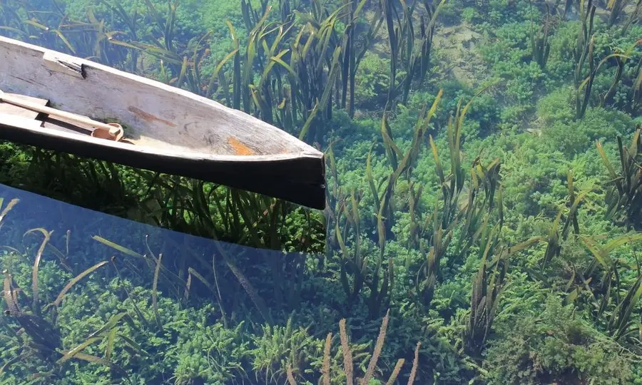 El cambio Dólar Peso Mexicano (USDMXN) se muestra indeciso. Alucinamos con el cambio Euro Libra (EUR/GBP) y Euro (EUR) Real Brasileño (BRL) | FXMAG