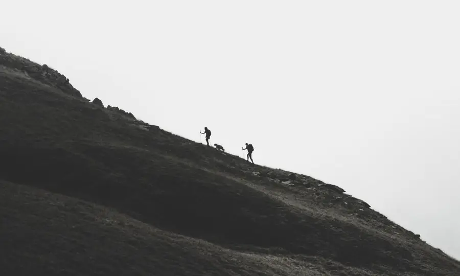 ¡Este es el momento perfecto del cambio Dólar Peso Mexicano(USD/MXN)! El cambio Euro Peso Argentino (EURARS) buscando el nivel 76. Los máximos del Euro (EUR) Real (BRL) pasan a la historia | FXMAG