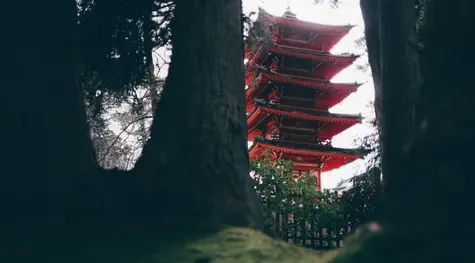 ¡El cambio Euro Yen (EURJPY) vuelve a arrasar con los 124! La Libra ahora el precio del Euro (EURGBP), mientras que el cambio Euro Dólar (EURUSD) asciende disimuladamente | FXMAG