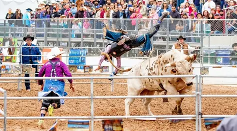 ¡El dólar está cayendo bruscamente frente al franco suizo! Analizamos también la situación de los pares EURUSD, GBPEUR y GBPUSD. | FXMAG