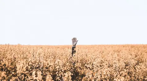 ¡El dólar estadounidense profundiza la caída frente al franco suizo! El euro y la libra están ganando fuerza frente al dólar. ¿Cuál es la situación del par GBPEUR? | FXMAG