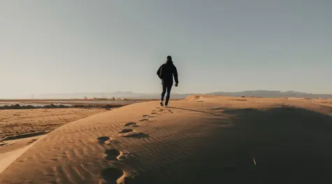 El dólar estadounidense se queda lejos de los máximos de ayer frente al yen y al peso mexicano (USDJPY, USDMXN). El dólar australiano se recupera completamente frente a la divisa estadounidense (AUDUSD). ¿Cuál es la cotización actual del par USDCAD? | FXM