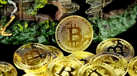 ¡El ethereum y el dogecoin caen por debajo de los mínimos de ayer! El bitcoin frena la caída frente al euro | FXMAG