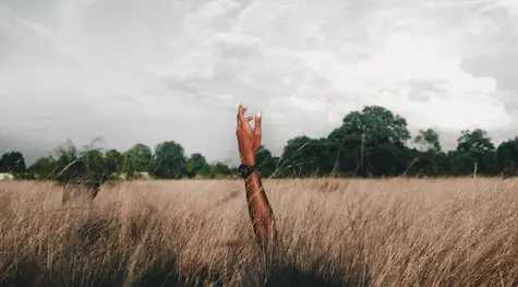 El euro cae por debajo del mínimo de ayer frente al dólar. ¿Cómo está empezando la jornada la libra frente al euro y al dólar? | FXMAG