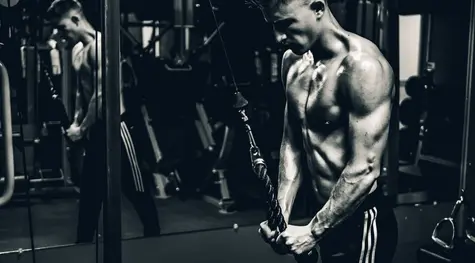 ¡El euro está ganando fuerza frente al peso argentino (EURARS)! Mientras tanto, el dólar se dirige a la baja frente al peso mexicano (USDMXN)… ¿Cuál es la cotización actual de los pares EURBRL y USDCLP? | FXMAG