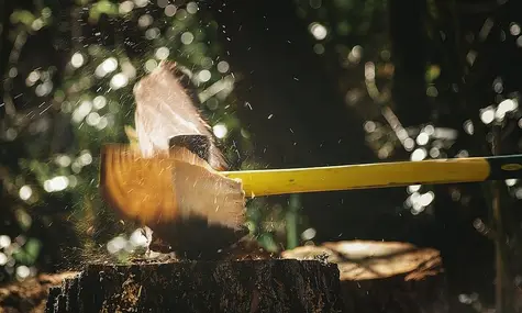 ¡El Euro (EUR) hace trizas al Yen (JPY)! Nos esperamos descensos del cambio Euro Dólar (EUR/USD), y posibles ascensos en el cambio Euro Libra (EURGBP) ¿Cuál es la tuya? | FXMAG