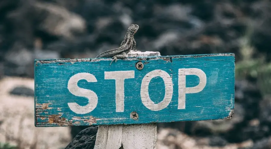 El euro logra frenar las caídas frente al franco suizo (EURCHF). Al mismo tiempo, intenta subir frente al peso argentino y al yen japonés (EURARS, EURJPY). ¿Cuántos reales brasileños pagaremos por la divisa europea (EURBRL)? | FXMAG