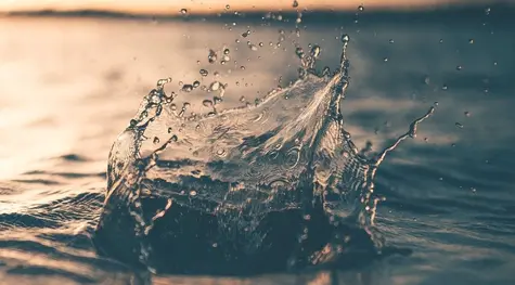 ¡El Euro Peso Argentino (EURARS) sufre un chapuzón directo al fondo! El cambio Euro Real (EUR/BRL) se desvía de su línea. Curiosos movimientos en el Dólar (USD) Peso Mexicano (MXN) | FXMAG