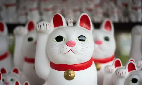 ¡El Euro se volverá a valorar pronto en los 126 Yenes! El cambio Euro Dólar (EURUSD) vuelve a los 1.17, mientras que el cambio Euro Libra (EURGBP) rebota en los 0.88 | FXMAG