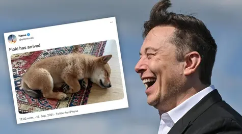 ¡Elon Musk y sus berrinches! ¿Has visto la que está líando ahora? El mercado “negro” de las memecoins | FXMAG