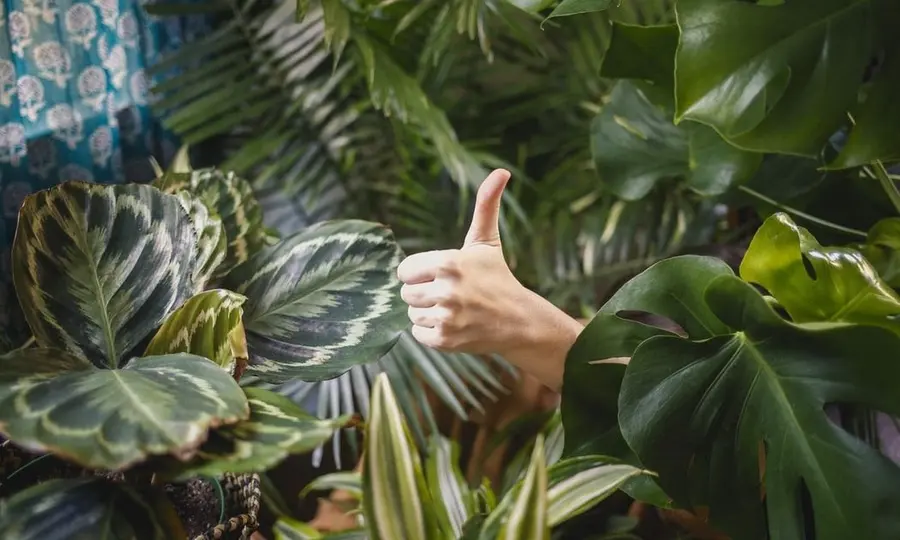 ¡Esta es tu oportunidad en el cambio Euro Dólar! El cambio Euro Libra (EURGBP) cerrará la semana favoreciendo a los británicos, mientras que el cambio Euro Yen (EURJPY) no saldrá de la lateralización | FXMAG