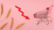 Eurozone Inflation Dilemma: CPI at 7% and Lingering Concerns Amidst Rising Food Prices
