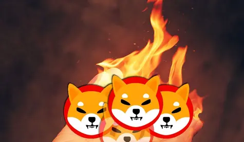 ¡Fatal pronóstico para criptomonedas como Dogecoin, Solana y Polkadot! ¿Qué estrategia debemos adaptar? | FXMAG