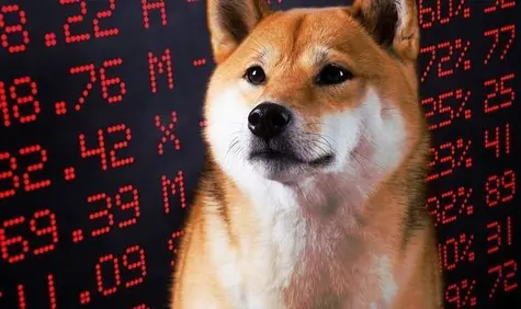 ¡Ha llegado el momento de DESHACERSE de Shiba Inu! Las ballenas crypto renuncian a SHIB | FXMAG