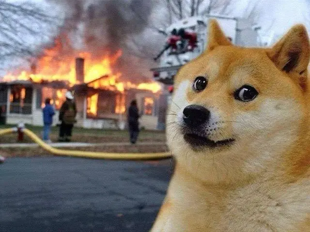 ¡Hora de deshacernos de Dogecoin! DOGE ¡Polkadot a la moda! El efecto YOYÓ de Shiba era muy de esperar SHIB | FXMAG