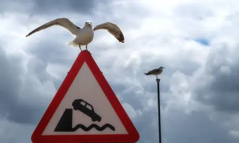 Indicios de tendencia bajista en el cambio Euro Libra, contrastados con la escalada del cambio Euro Dólar (EURUSD) hacia los 1.17. El cambio Euro Yen (EURJPY) creciente, pero flojo | FXMAG