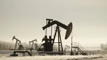 Joe Biden is preparing to bring 26 million barrels of oil to the market from the strategic reserve | FXMAG.COM