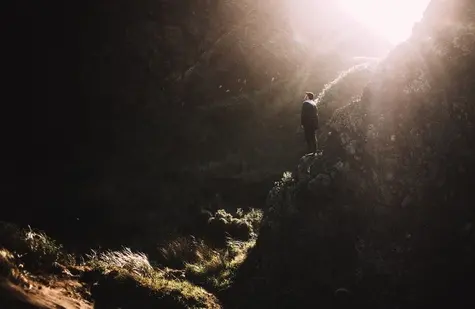 ¡La apertura de Wall Street provoca un salto en el Ibex 35! El S&P CLX IPSA en plena subida de un 1.21%, a lo que el FTSE BIVA se mantiene iluminado en verde | FXMAG