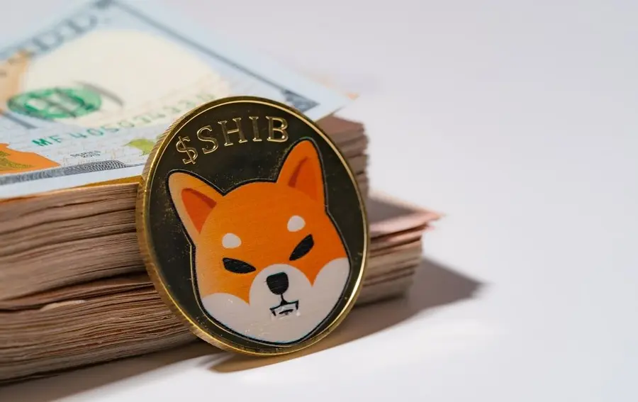 La cotización de SHIB (0.000010) avanza con ímpetu mientras Bitcoin se estanca: ¿Presagio de un precio máximo de Bitcoin? | FXMAG