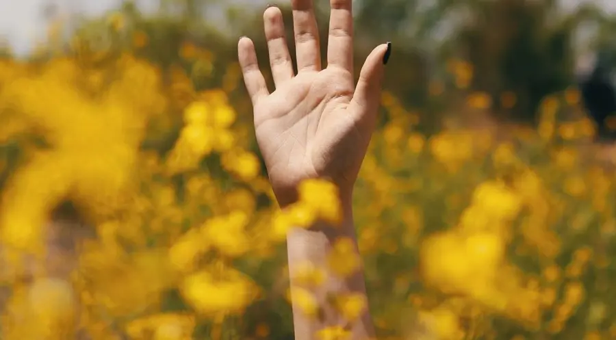 ¡La libra está intentando subir frente al dólar (GBPUSD)! Ha frenado también la caída frente al yen (GBPJPY). ¿Cuál es la situación de los pares GBPEUR y GBPCHF? | FXMAG