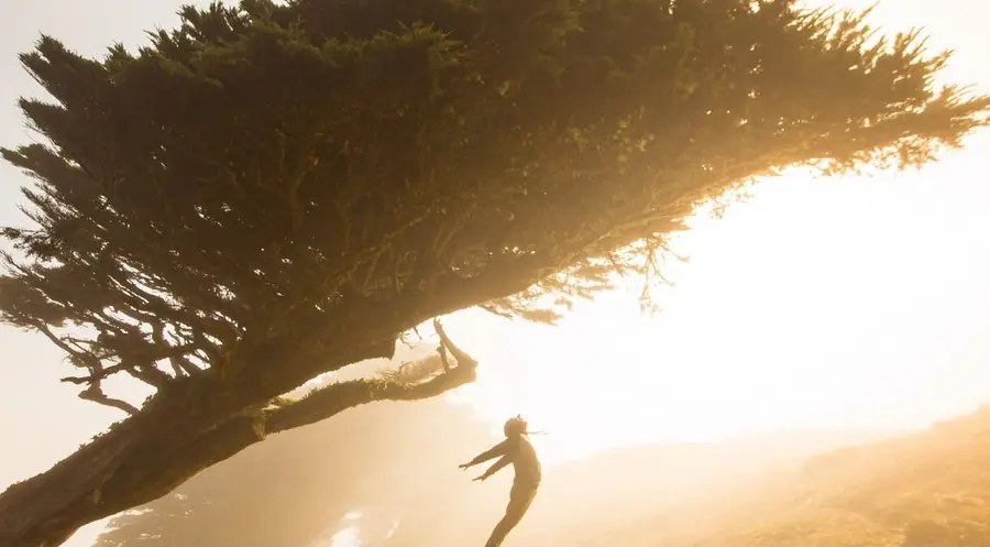 ¡La libra no deja de subir frente al euro y al dólar! ¿Cuál es la situación del cambio USDCHF y EURUSD? | FXMAG