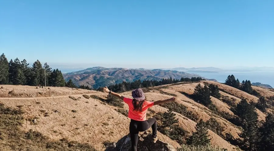 ¡La libra recupera el terreno perdido frente al dólar, euro, franco suizo y al yen japonés! Analizamos la cotización actual de los pares GRPUSD, GBPEUR, GBPCHF y GBPJPY | FXMAG