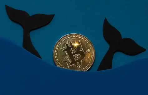 ¡Las criptomonedas tan favorecidas por el inversor...! ¡Shiba Inu a punto de perderse! ¡Dogecoin se luce! ¡Axie Infinity como el mejor bocadito de los inversores! | FXMAG