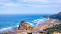 New Zealand: Manufacturing PMI contracts to 49.3. Reserve Bank has some time to think about next moves as the next meeting takes place at February 22nd| FXMAG.COM