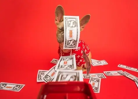 No te pierdas la oportunidad de inversión en el cambio Euro Libra. El Euro abandona los 13 Dólares, mientras que el cambio Euro Yen creciendo en demanda | FXMAG