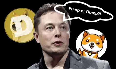 ¡Nuevas movidas en Shiba Inu! SHIB ¿Musk se deshace de sus Dogecoin? DOGE ¡Esto es lo que pasó ayer con Cardano! ADA | FXMAG