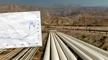 Fuel prices shot up after the UAE's blow in OPEC. A well-known bank revised oil forecasts. "It's the loudest speech in recent years"