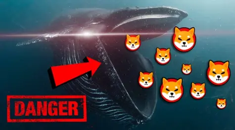 ¿Quién se ha cargado a Shiba Inu? SHIB Con lo bien que iba... Escandalosas bajadas de Cardano a la vista ADA ¡Dogecoin aún lucha! DOGE | FXMAG